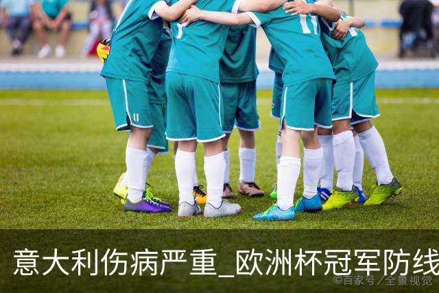 意大利伤病严重 欧洲杯冠军防线或全部无法上场